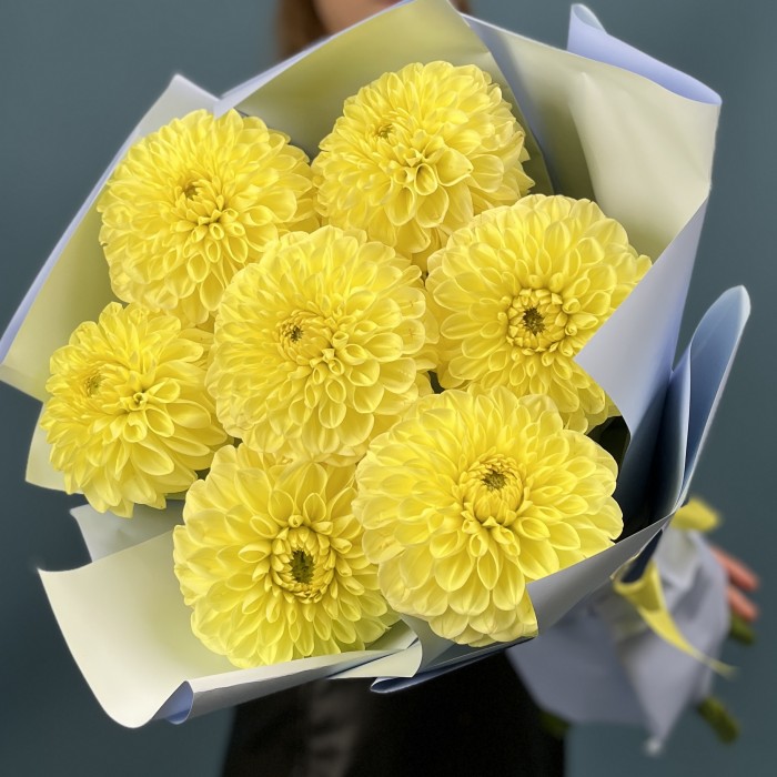 7 желтых георгин