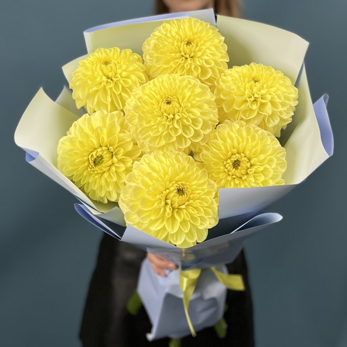 7 желтых георгин