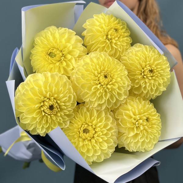 7 желтых георгин