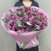 51 кустовая роза Перпл скай 50 см