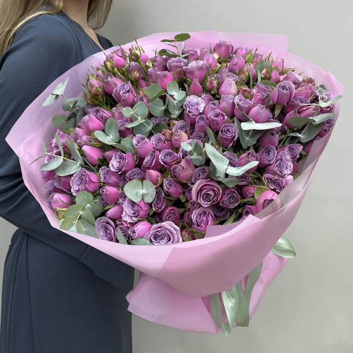 51 кустовая роза Перпл скай 50 см