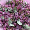 51 кустовая роза Перпл скай 50 см