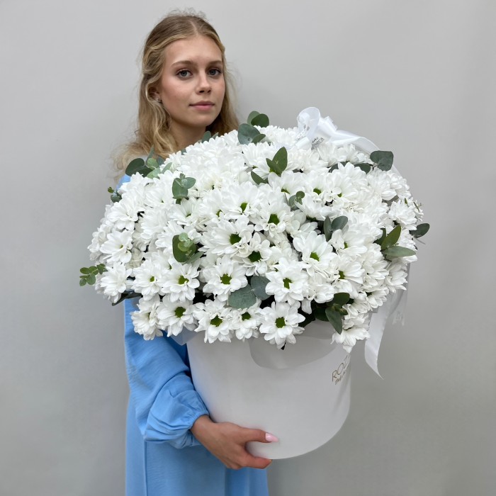 29 белых кустовых хризантем Бакарди в коробке