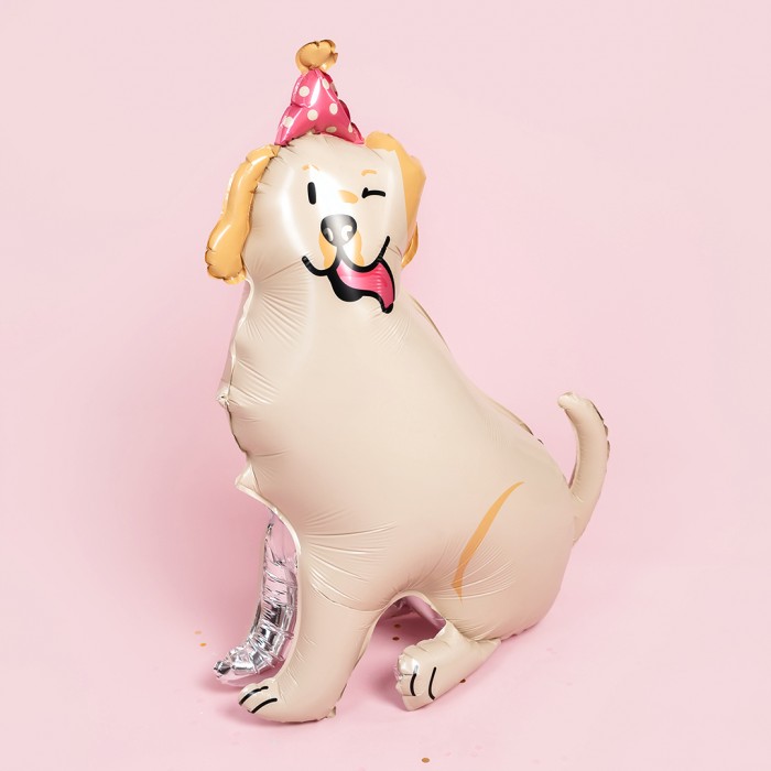 Шар фигура Лабрадор в колпачке