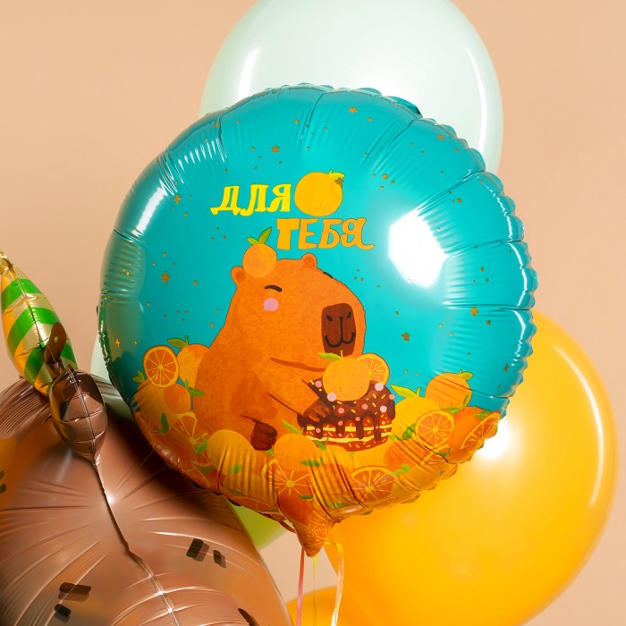 Шар круг капибара