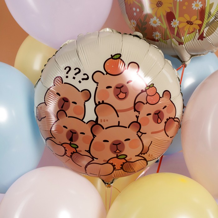 Шар круг капибара двусторонний