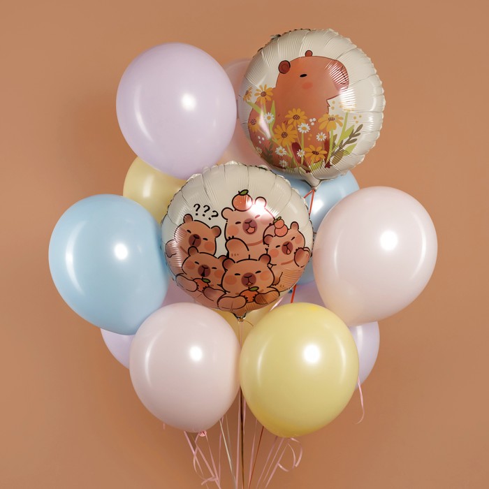 Шар круг капибара двусторонний