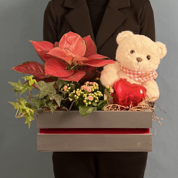 Композиция с каланхоэ и мишкой