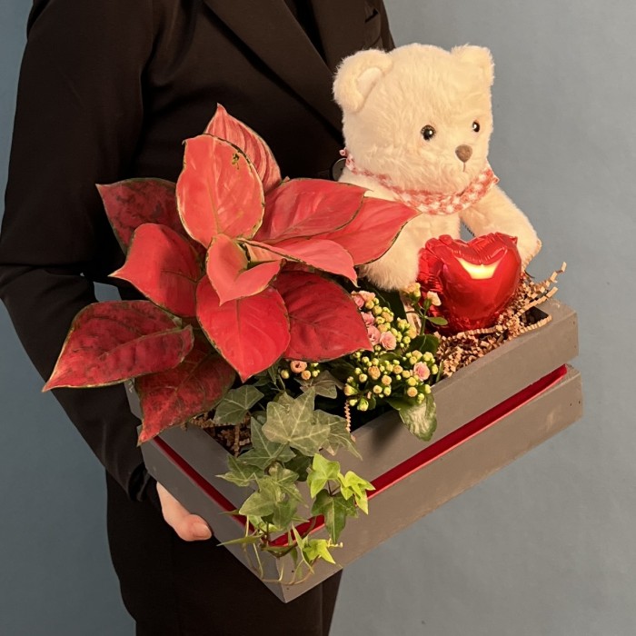 Композиция с каланхоэ и мишкой