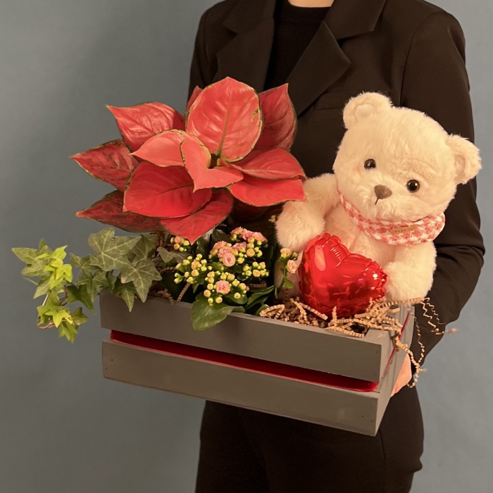 Композиция с каланхоэ и мишкой