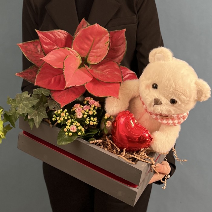 Композиция с каланхоэ и мишкой