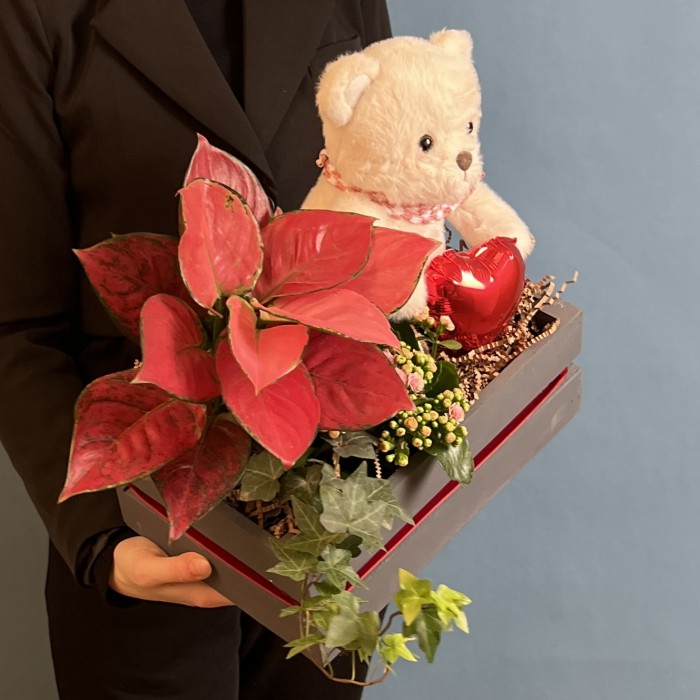 Композиция с каланхоэ и мишкой