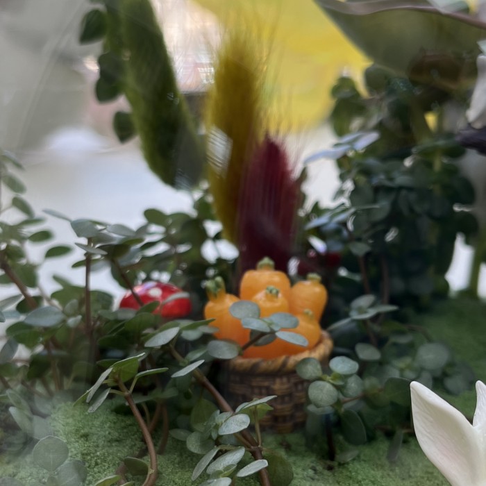 Флорариум Сказочный лес