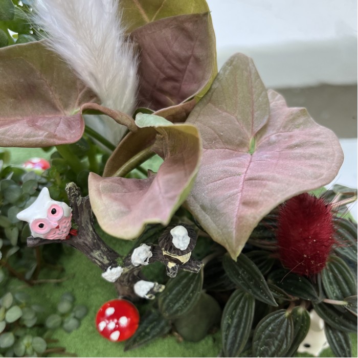 Флорариум Сказочный лес