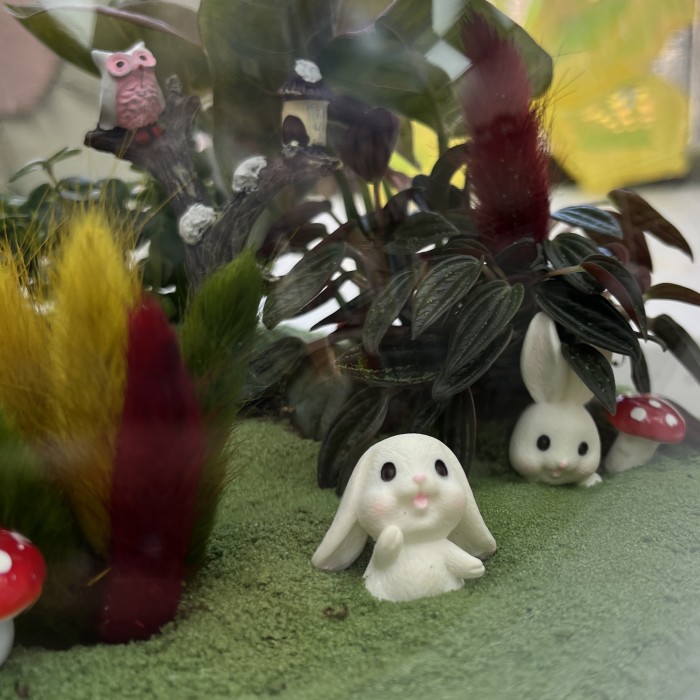 Флорариум Сказочный лес