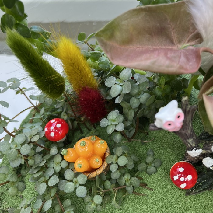 Флорариум Сказочный лес