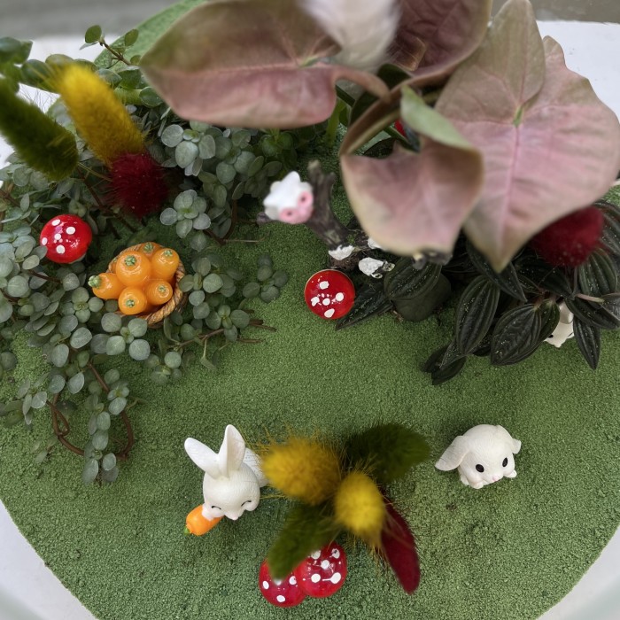 Флорариум Сказочный лес