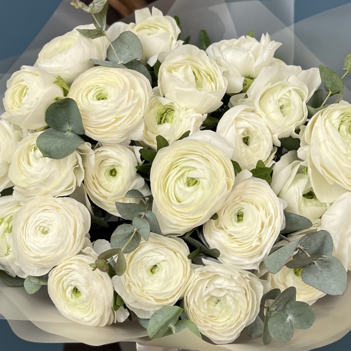 15 пышных белых Ранункулюсов с эвкалиптом
