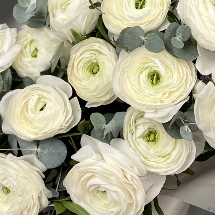 19 пышных белых Ранункулюсов с эвкалиптом