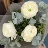 3 пышных белых Ранункулюса с эвкалиптом