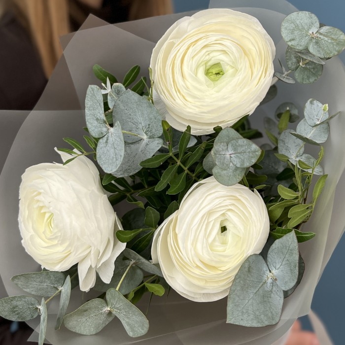3 пышных белых Ранункулюса с эвкалиптом