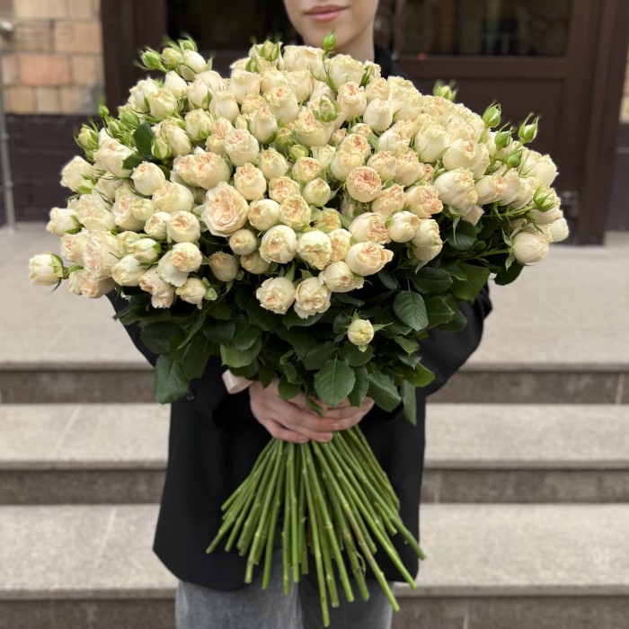 101 кустовая пионовидная роза Саммер-роз 50 см