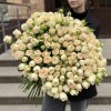 101 кустовая пионовидная роза Саммер-роз 60 см