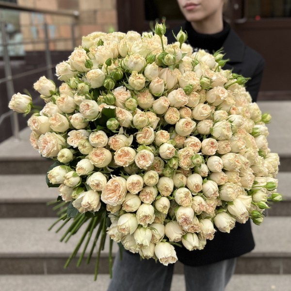 101 кустовая пионовидная роза Саммер-роз 60 см