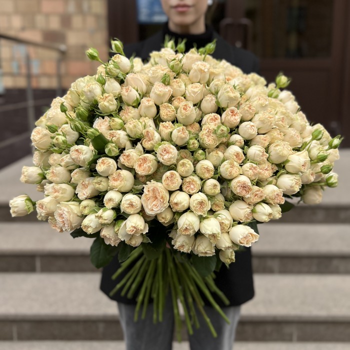 101 кустовая пионовидная роза Саммер-роз 50 см