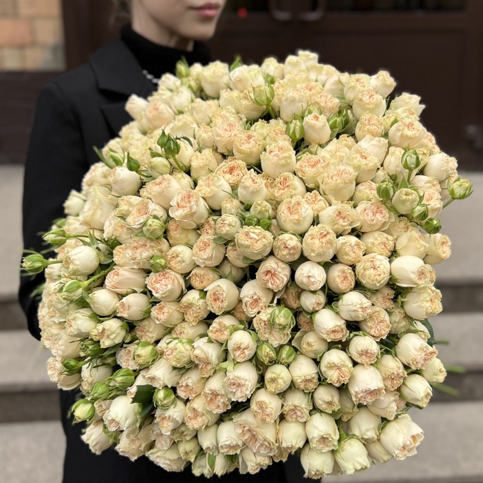 101 кустовая пионовидная роза Саммер-роз 50 см