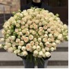 101 кустовая пионовидная роза Саммер-роз 60 см