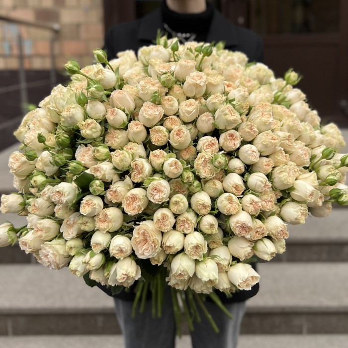 101 кустовая пионовидная роза Саммер-роз 50 см