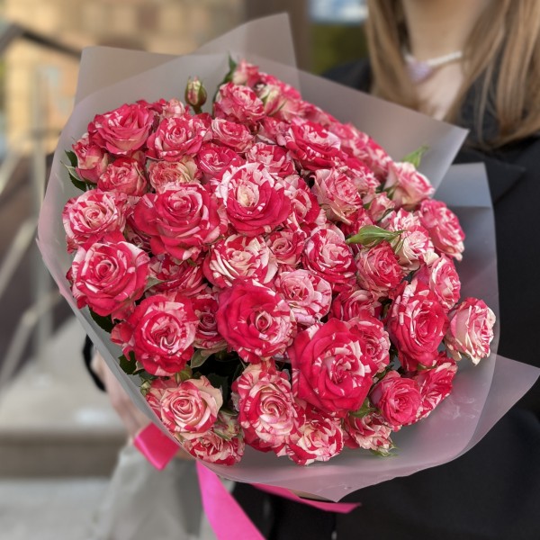 11 кустовых бело-малиновых роз Файрворкс 40 см