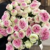 11 кустовых пионовидных роз Джелатто 50 см