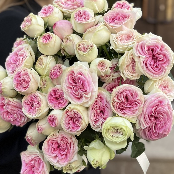 11 кустовых пионовидных роз Джелатто 50 см