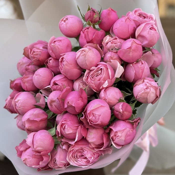 11 кустовых пионовидных роз Сильва Пинк 60 см