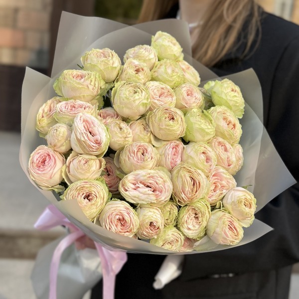 11 кустовых пионовидных роз Свит Джелатто 50 см