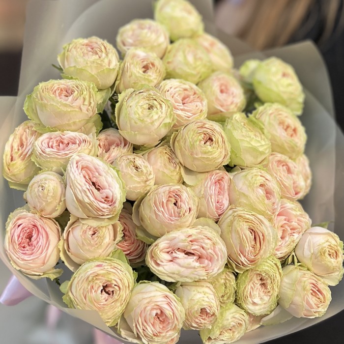 11 кустовых пионовидных роз Свит Джелатто 50 см