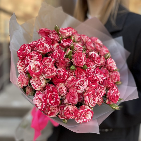 15 кустовых бело-малиновых роз Файрворкс 40 см