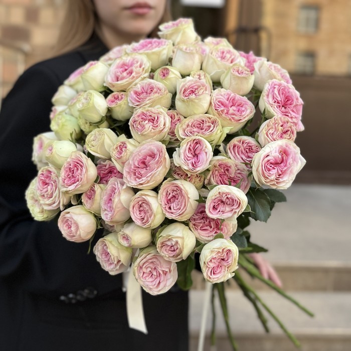 15 кустовых пионовидных роз Джелатто 50 см