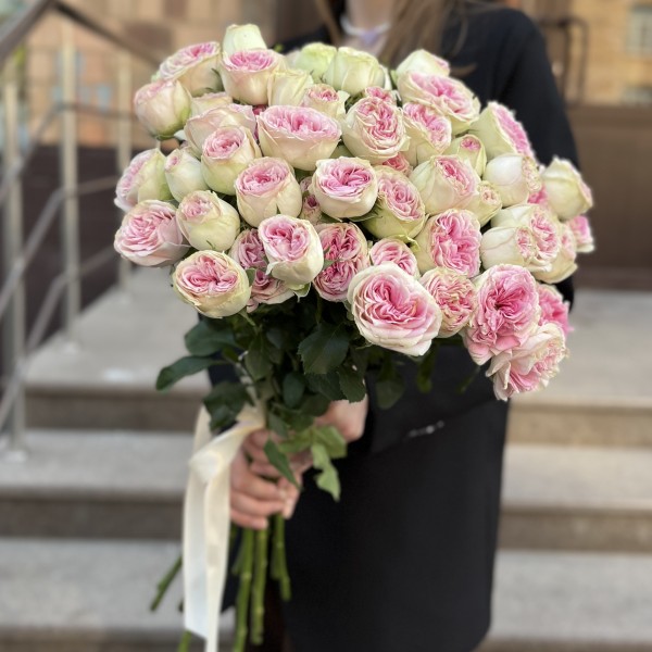 15 кустовых пионовидных роз Джелатто 50 см