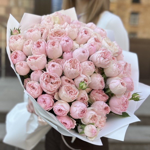 25 кустовых пионовидных роз Мансфилд Пинк Парк 50 см