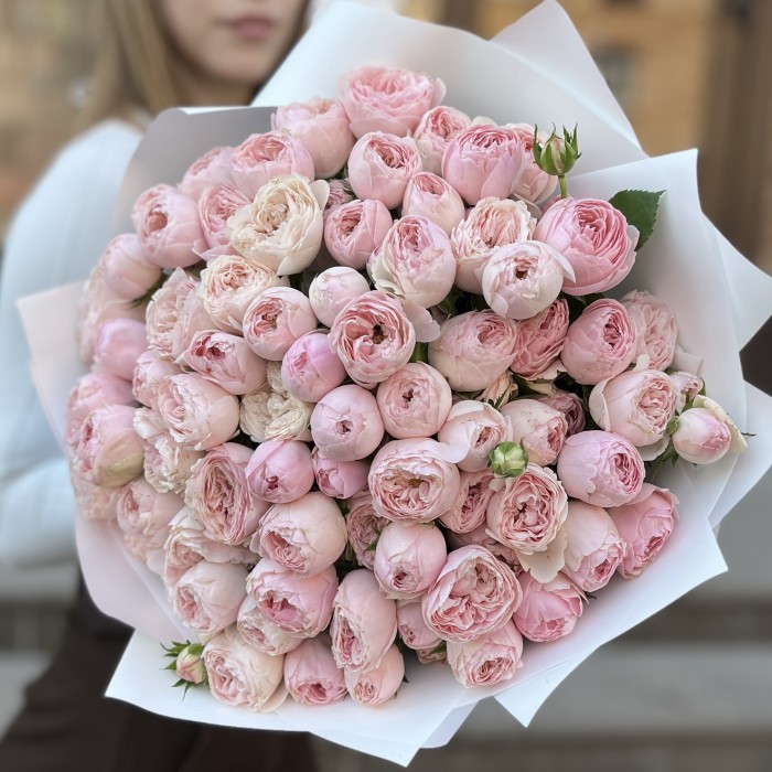 25 кустовых пионовидных роз Мансфилд Пинк Парк 50 см