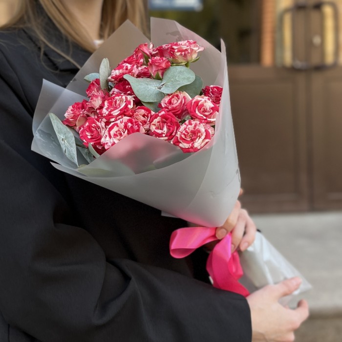 5 кустовых бело-малиновых роз Файрворкс 40 см