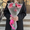 5 кустовых бело-малиновых роз Файрворкс 40 см