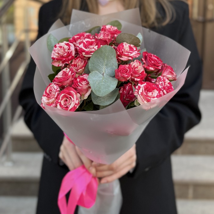 5 кустовых бело-малиновых роз Файрворкс 40 см