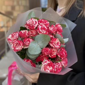 5 кустовых бело-малиновых роз Файрворкс 40 см