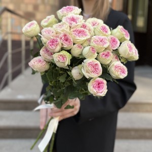 5 кустовые пионовидные розы Джелатто 50 см