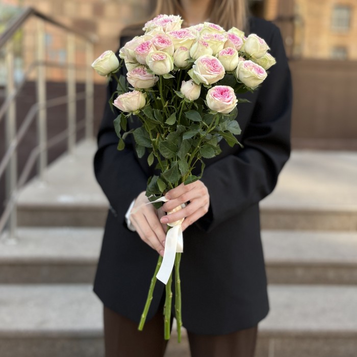 5 кустовые пионовидные розы Джелатто 50 см