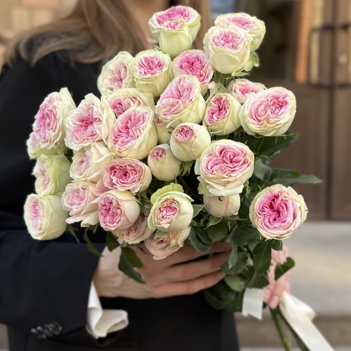 5 кустовые пионовидные розы Джелатто 50 см